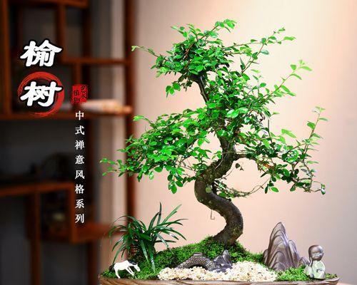 榆树小盆景剪枝的最佳时机和方法是什么？