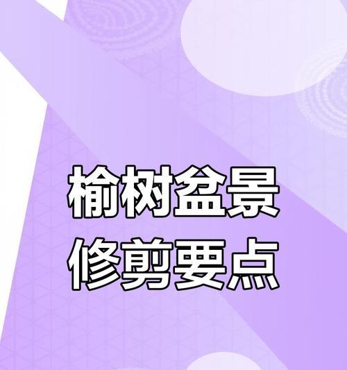 榆树小盆景剪枝的最佳时机和方法是什么？