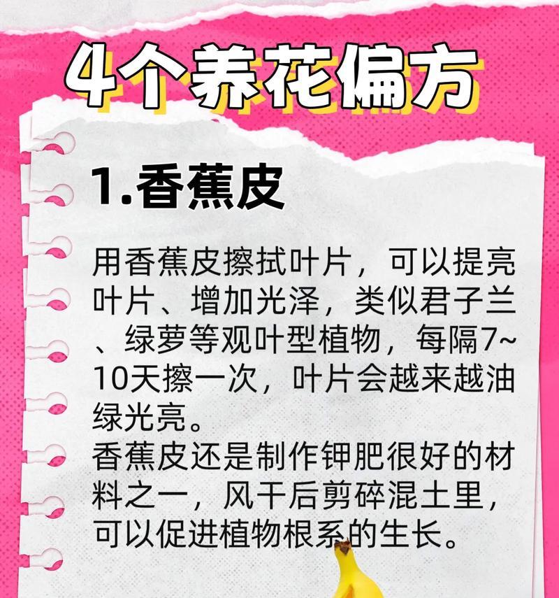 养花必备的五个技巧是什么？