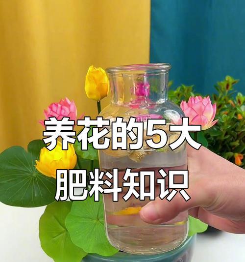 养花必备的五个技巧是什么？