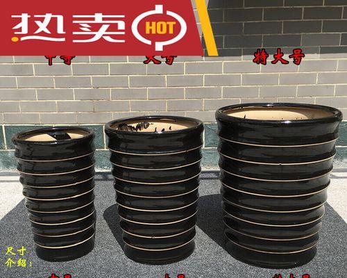 皮兰栽培技术有哪些？如何正确进行皮兰的种植和养护？