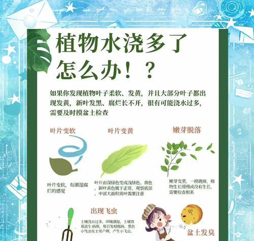 田瓜浇水的正确方法是什么？田瓜的水分管理要点有哪些？
