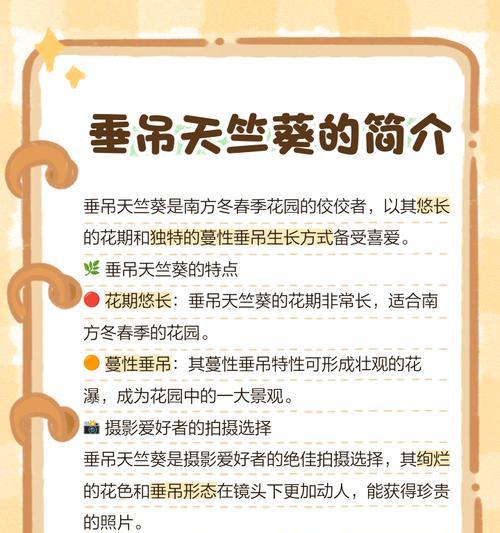 天竺葵垂吊如何让它竖起来？
