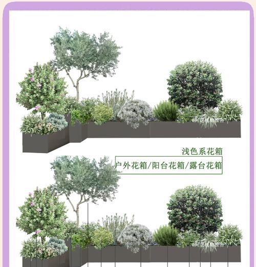 带漏水花箱种植木本植物的技巧有哪些？