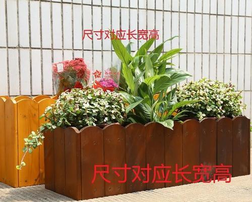 带漏水花箱种植木本植物的技巧有哪些？
