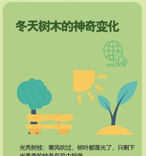 树枝嫩叶发黄的处理方法有哪些？