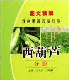果蔬栽培技术的传播途径有哪些？