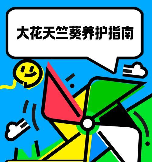 大花天天竺葵粉蝶的养殖要点是什么？