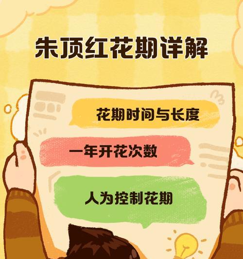 朱顶红生长所需的理想条件是什么？