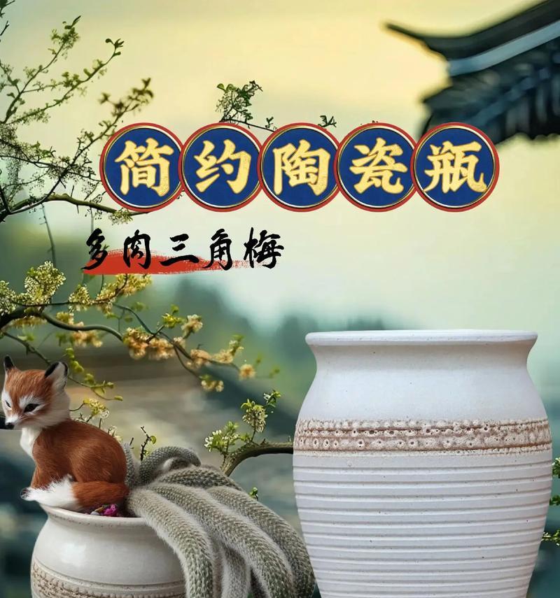 瓷花盆种三角梅？效果如何？