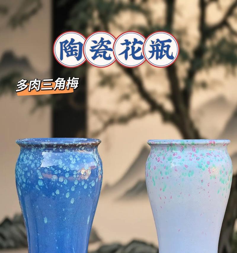 瓷花盆种三角梅？效果如何？