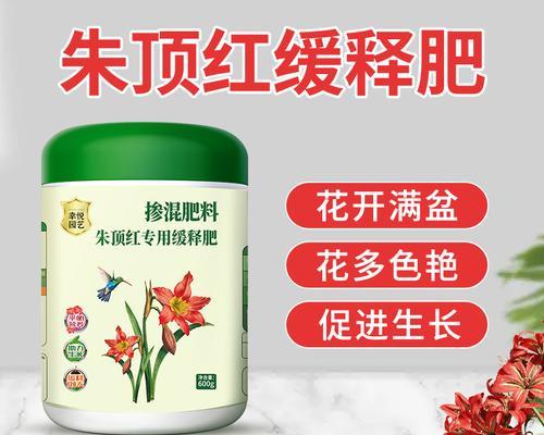 朱顶红的肥料需求是什么？如何为朱顶红准备合适的肥料？