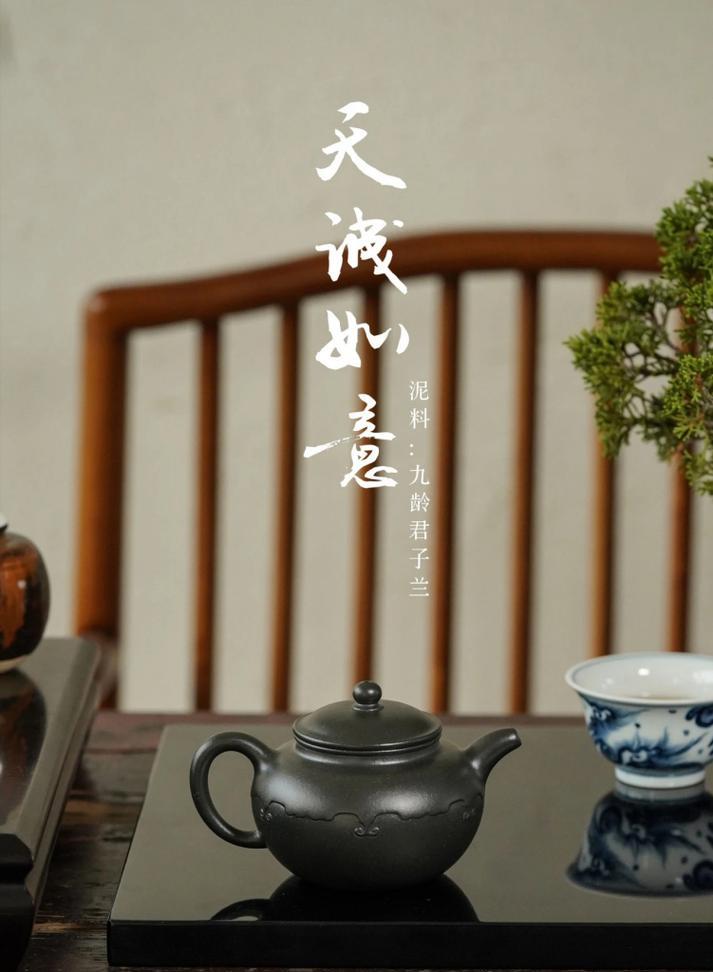 紫砂九龄君子兰的特性介绍？