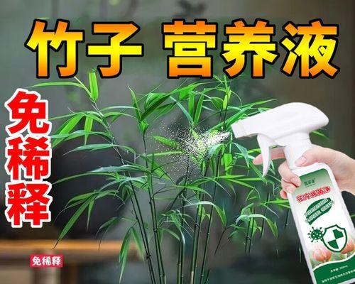 竹子水培叶子发黄枯萎？如何快速恢复？