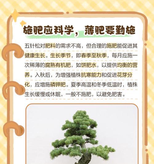 松树浇水的正确方法？怎样避免过量？