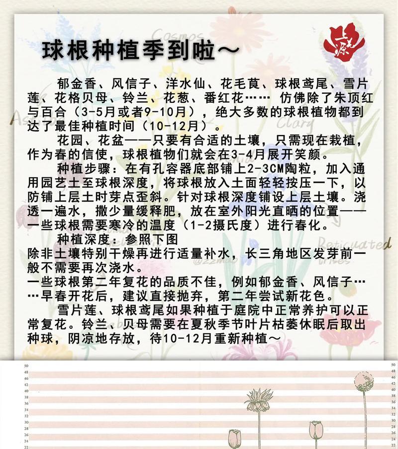 耐荫球根植物的养护技巧有哪些？