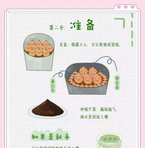 耐荫球根植物的养护技巧有哪些？