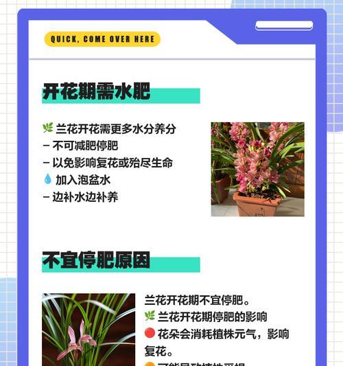 兰花移植栽培需要注意哪些技术要点？