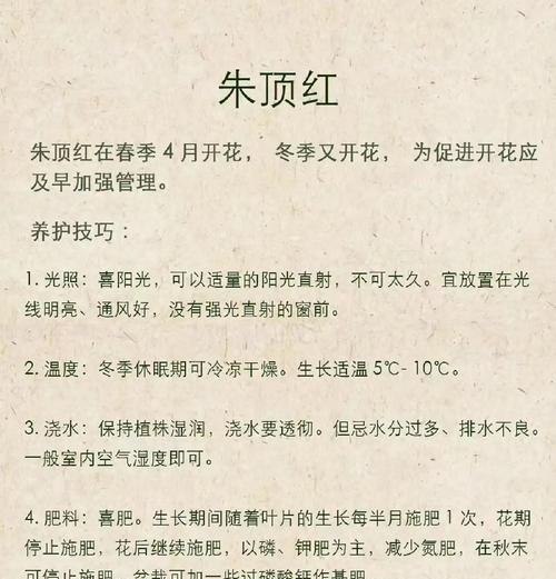 朱顶红僵苗的原因是什么？如何预防和解决僵苗问题？