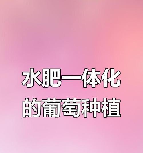 滴灌带施肥技巧和方法有哪些？滴灌施肥的最佳实践是什么？