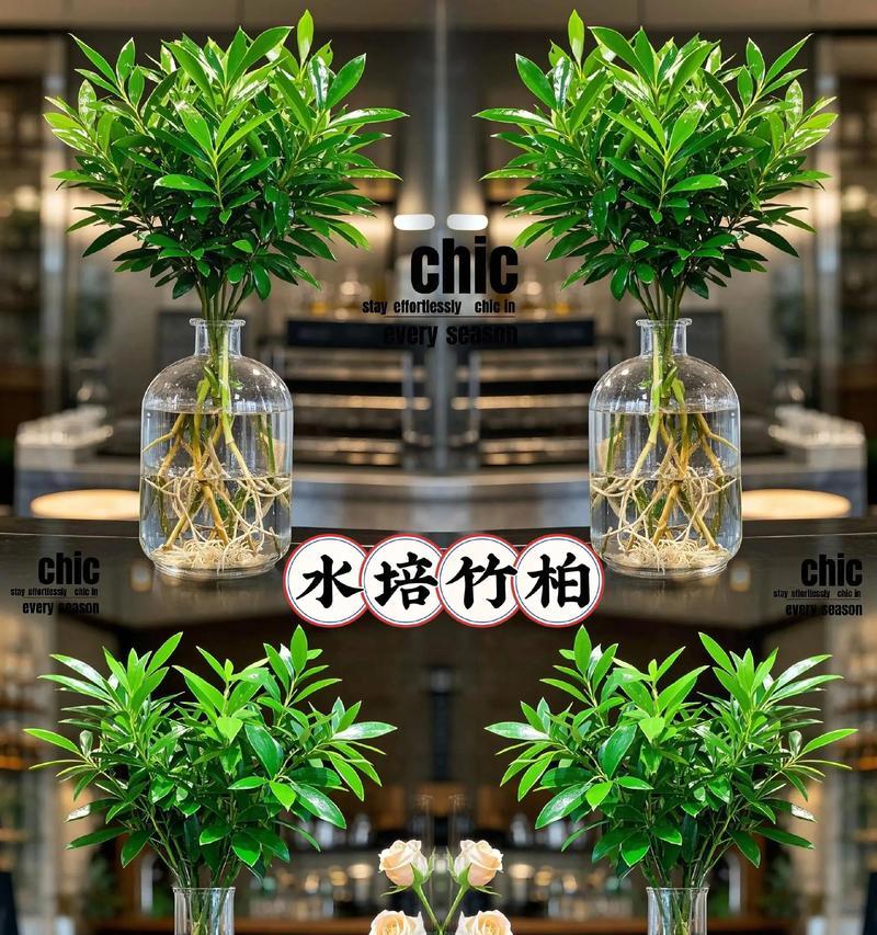 如何制作美观的桌面小盆景竹子？