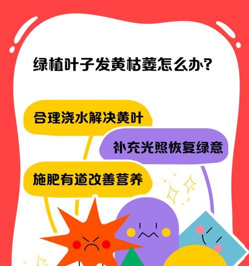肥料过量导致叶子发黄枯萎怎么办？