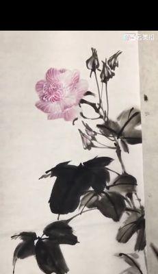 白芙蓉花叶子发黄的补救措施是什么？