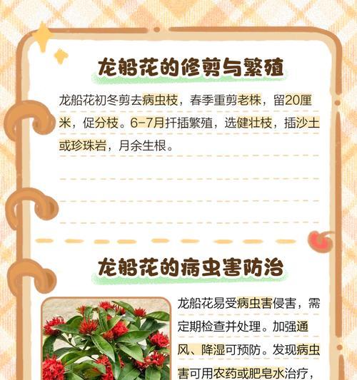龙船花叶子发黄怎么处理？可能的原因和解决方法是什么？