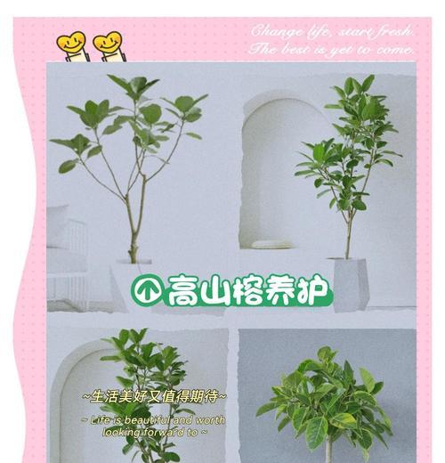 浇水溶氧的方法是什么？如何通过浇水提高土壤的溶氧量？