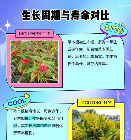 木本植物如何养得高大？有哪些有效的养护技巧？