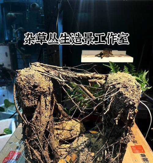塘泥自制肥料的正确用量是多少？如何使用塘泥制作肥料？