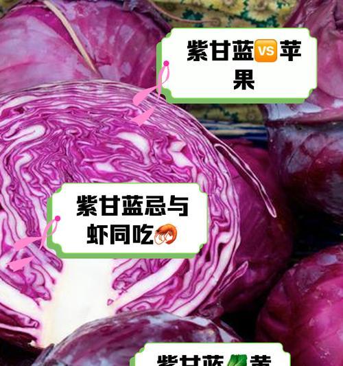 紫衣甘蓝叶子发黄的解决方法是什么？