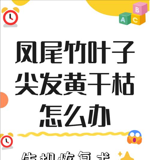 木樨树叶子尖发黄干枯的解决方法是什么？