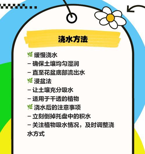 绿罗兰盆栽的浇水方法是什么？如何正确浇水？