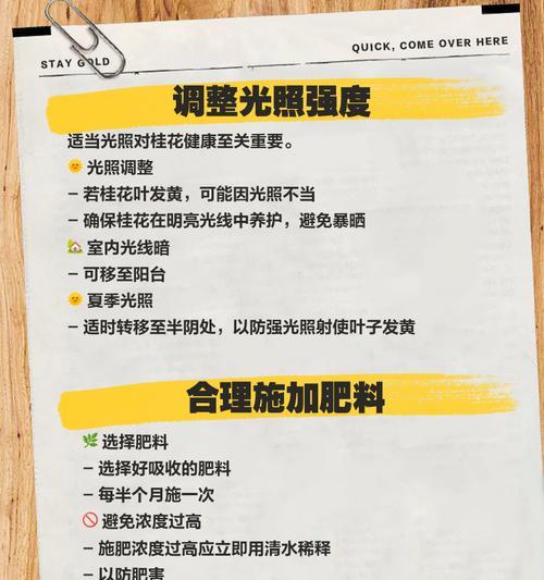 新栽桂花叶子发黄的原因是什么？如何进行有效处理？
