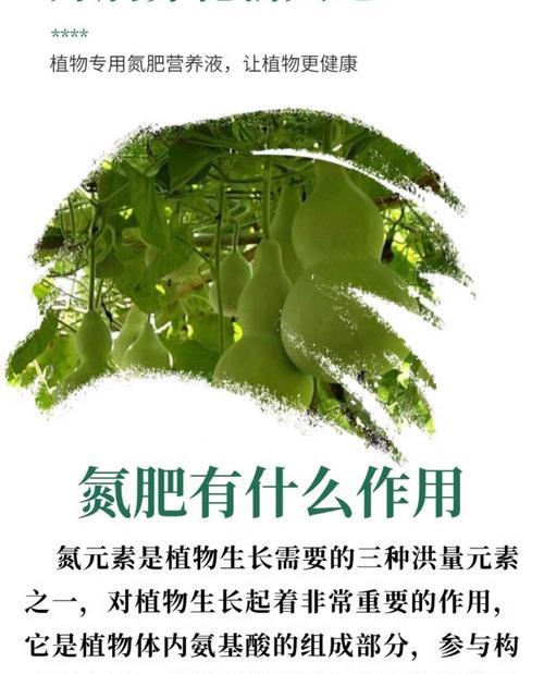 自制高氮肥水溶肥料？步骤和注意事项是什么？