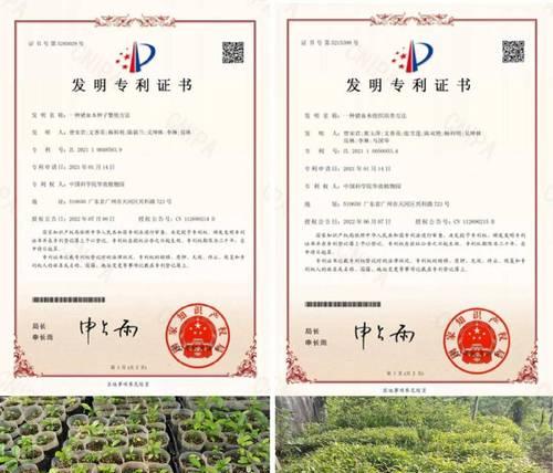 新型播种工具的发明及其使用方法是什么？