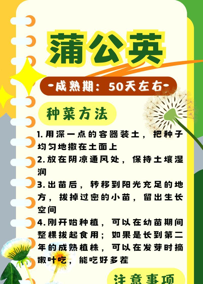 素材栽培技术有哪些方面？如何提高植物生长效率？