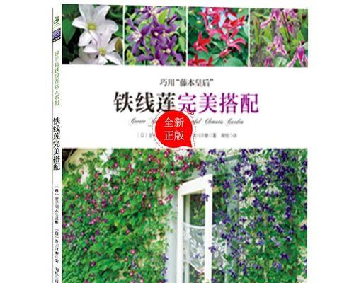 铁线莲在夏季如何种植？