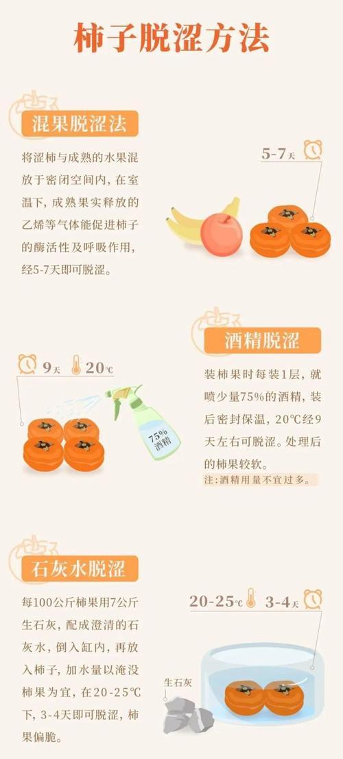 云南柿子栽培的关键技术是什么？如何提高产量？