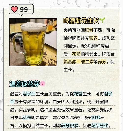 君子兰吸灰的原因是什么？如何预防和处理？