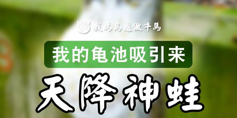蝌蚪池水生植物有哪些？这些植物对蝌蚪的生长有何影响？