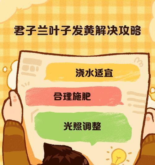 君子兰叶片发黄时应如何处理？