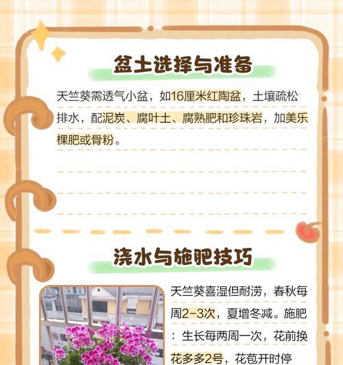 四瓣黄色花蕊天竺葵的养护技巧是什么？
