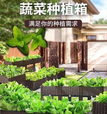 正宗君子兰紫色怎么养殖？如何让君子兰开出紫色花朵？
