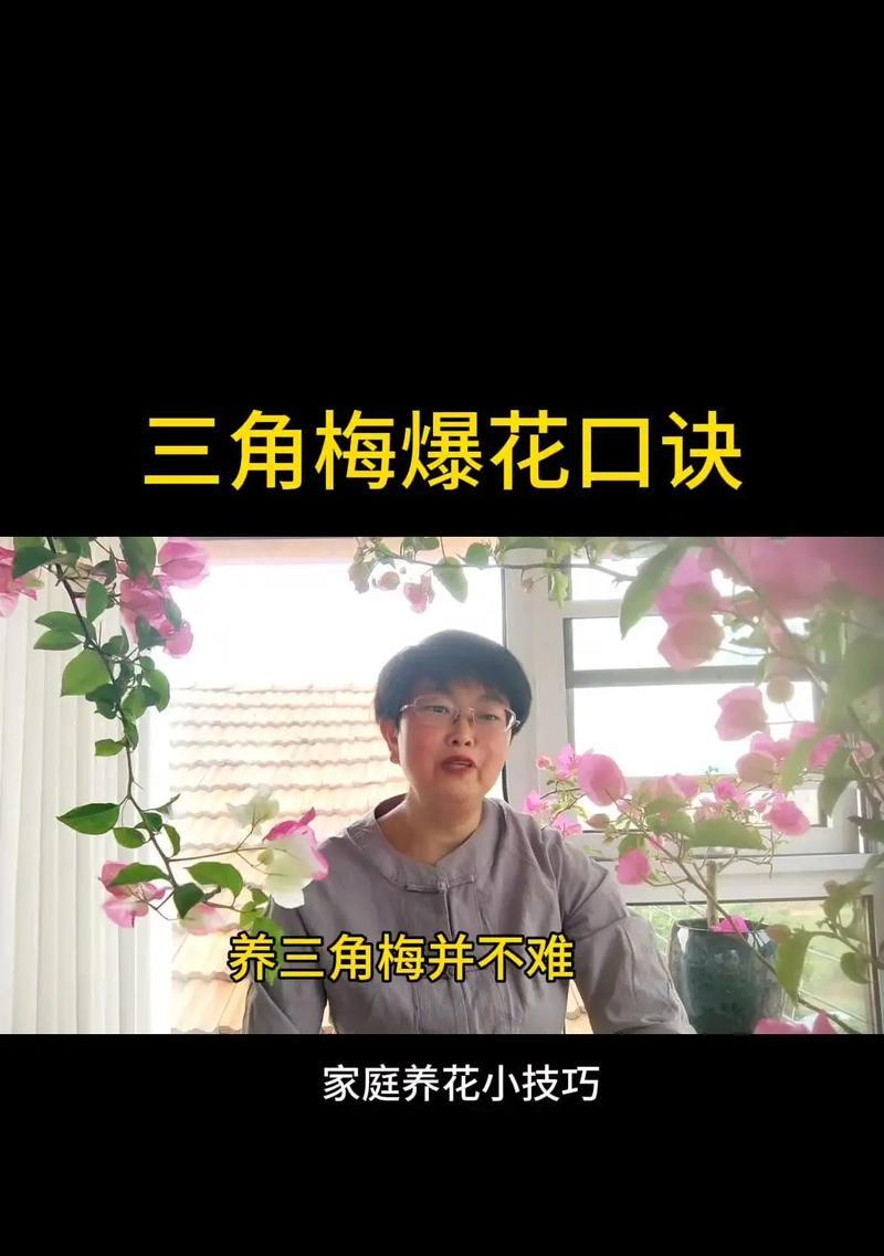 三角梅防止攀爬的处理方法是什么？