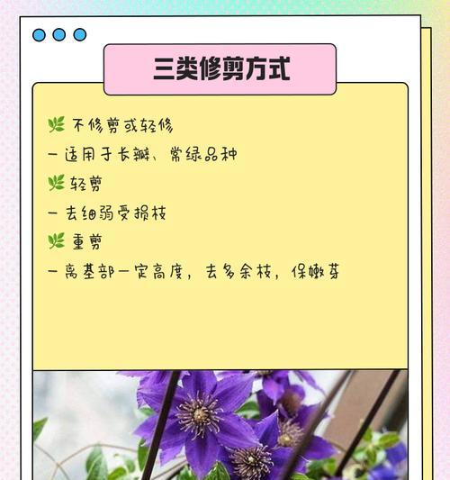 铁线莲打顶失误后如何补救？
