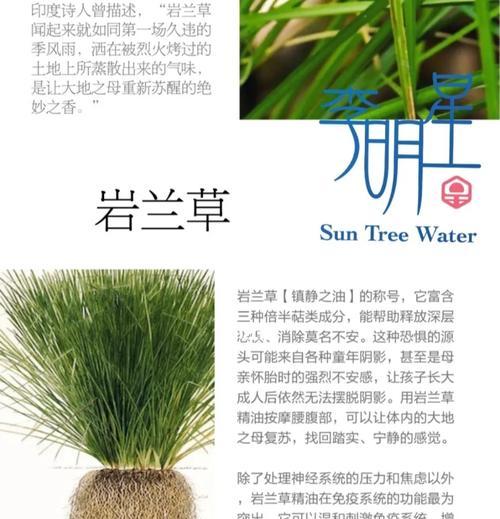 哪些配料适合兰科植物？