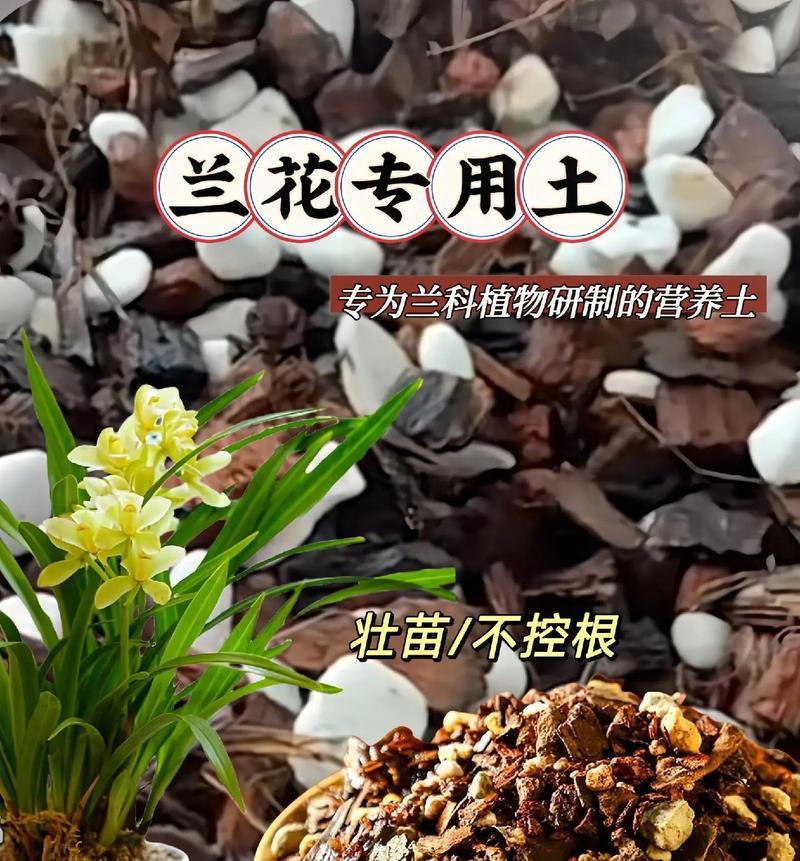 哪些配料适合兰科植物？