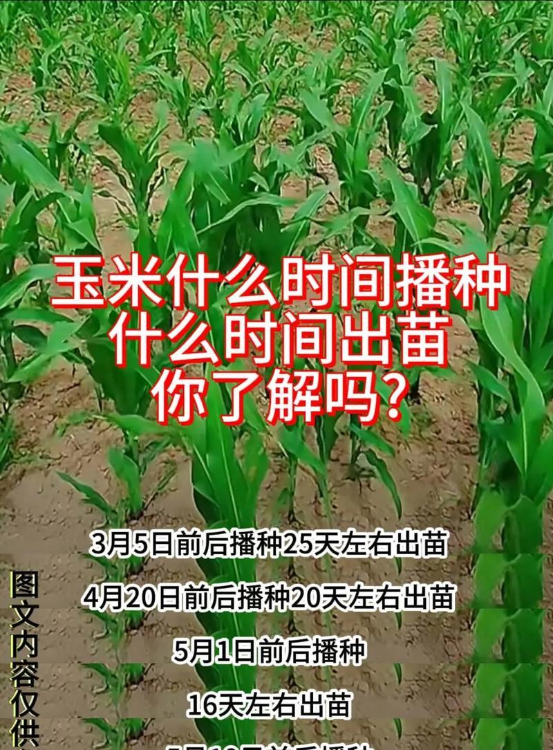 春播玉米栽培技术特点是什么？